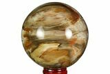 Bargain, Colorful Petrified Wood Sphere - Madagascar #169143-1